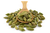 Green Cardamom Pods, Organic 1kg (Sussex Wholefoods)