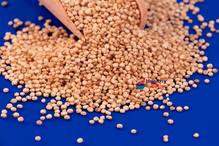 Quinoa Grain 1kg (Sussex Wholefoods)