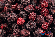 Freeze-Dried Blackberries 100g (Sussex Wholefoods)