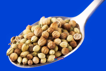 Whole Coriander Seed 100g (Hampshire Foods)