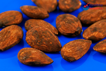Tamari Roasted Sicilian Almonds 30g (Clearspring)