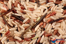 Organic Wild Rice Mix 500g (Biona)
