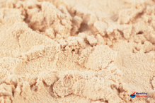 Organic Pea Protein Powder 20kg (Bulk)