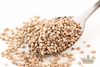 British Quinoa Grain, Organic 1kg (Sussex Wholefoods Gourmet)