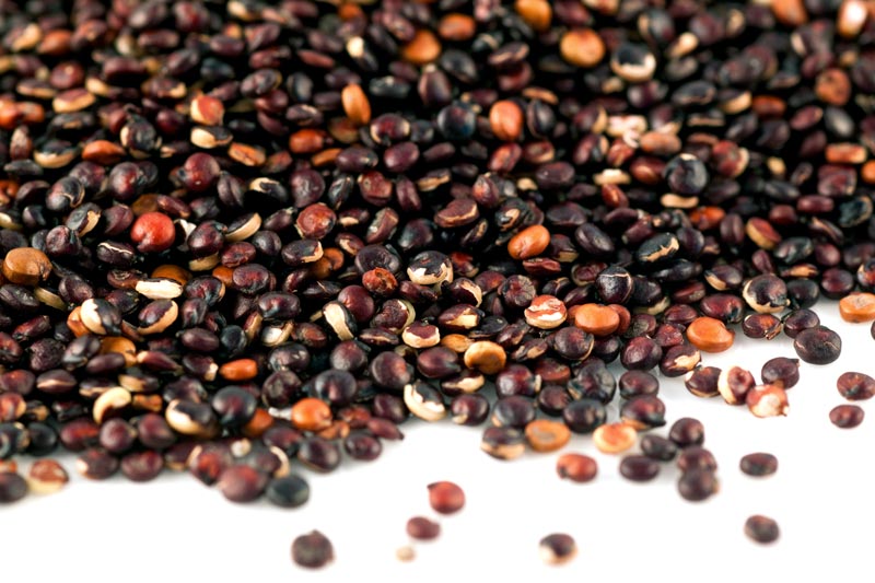 Black Quinoa, Organic 450g (Infinity Foods) HealthySupplies.co.uk