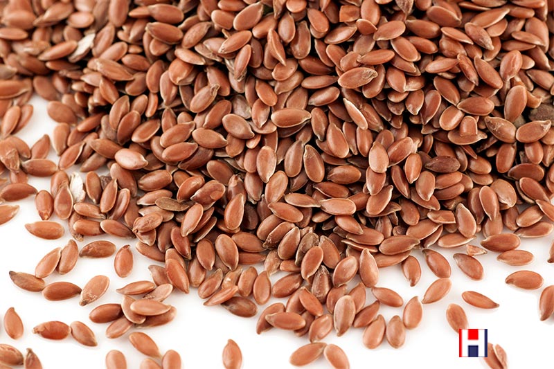 Brown Flax Seeds, Linseed 1kg (Sussex Wholefoods) | Healthy Supplies Brown Flax Seeds, Linseed 1kg (Sussex Wholefoods) | Healthy Supplies