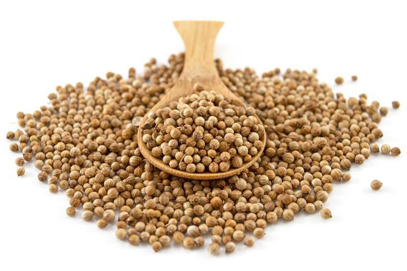 grinding coriander seeds