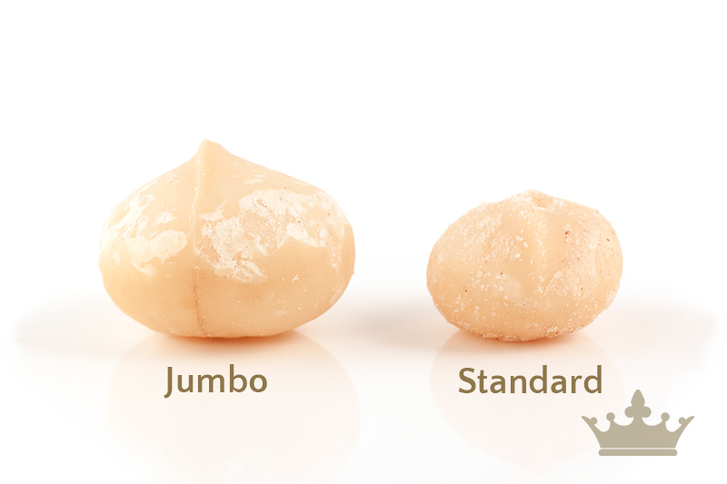 Selected Jumbo Macadamia Nuts, Organic 250g (Sussex Wholefoods Gourmet) Healthy Supplies