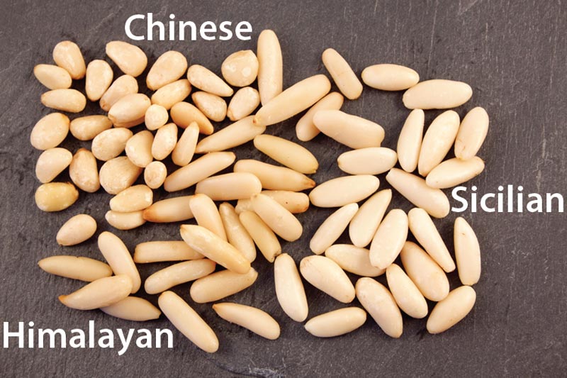 Quick Guide to Pine Nuts Healthy Supplies