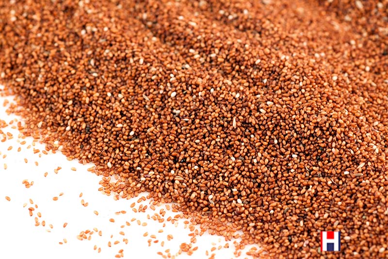 Teff Grain, Organic, Gluten Free 25kg (Bulk
