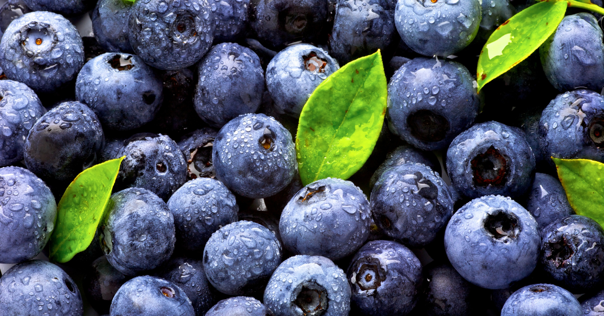 Blueberries – The Antioxidant Heroes: