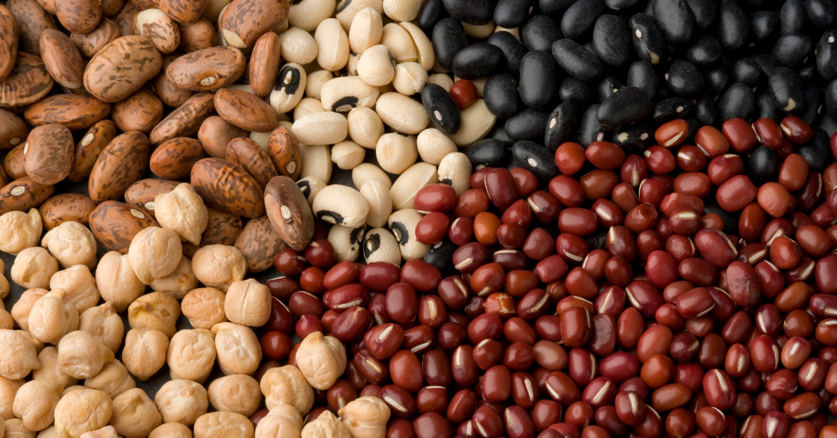 Pulses - beans, peas and lentils