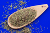 Thyme 50g (Hampshire Foods)