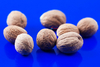 Whole Nutmeg 50g (Hampshire Foods)