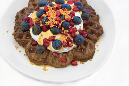 Coconut &#038; Spelt Cacao Waffles