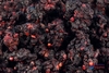 Black Mulberries, Organic 200g (Sussex Wholefoods)