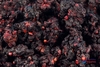 Organic Black Mulberries 200g (Sussex Wholefoods)