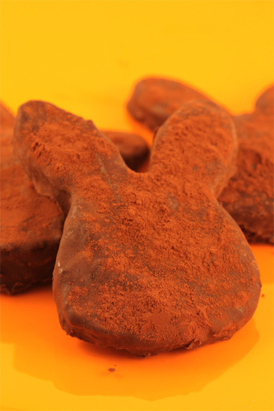 Chocolate Bunny Biscuits (Gluten Free)