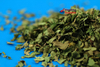 Coriander Leaves, Dried 50g (Hampshire Foods)