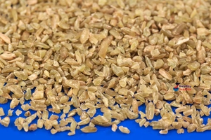 Freekeh