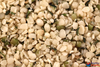 Nutiva Organic Shelled Hemp Seeds 227g