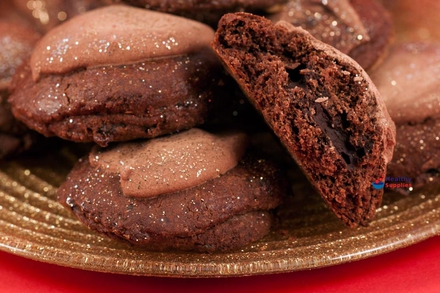 Iced Chocolate Cookies
