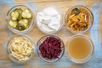 AN INTRODUCTION TO FERMENTED FOODS