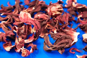 Hibiscus Flowers