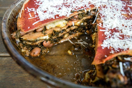 Vegetarian Pancake Lasagne