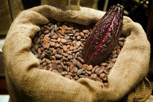 Raw Cacao is extracted by Cold-pressing.