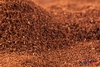 Organic Vanilla Powder 25g (Sussex Wholefoods)