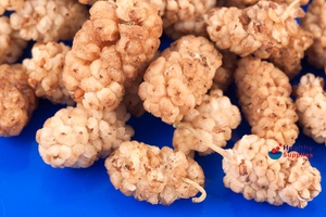 White Mulberries
