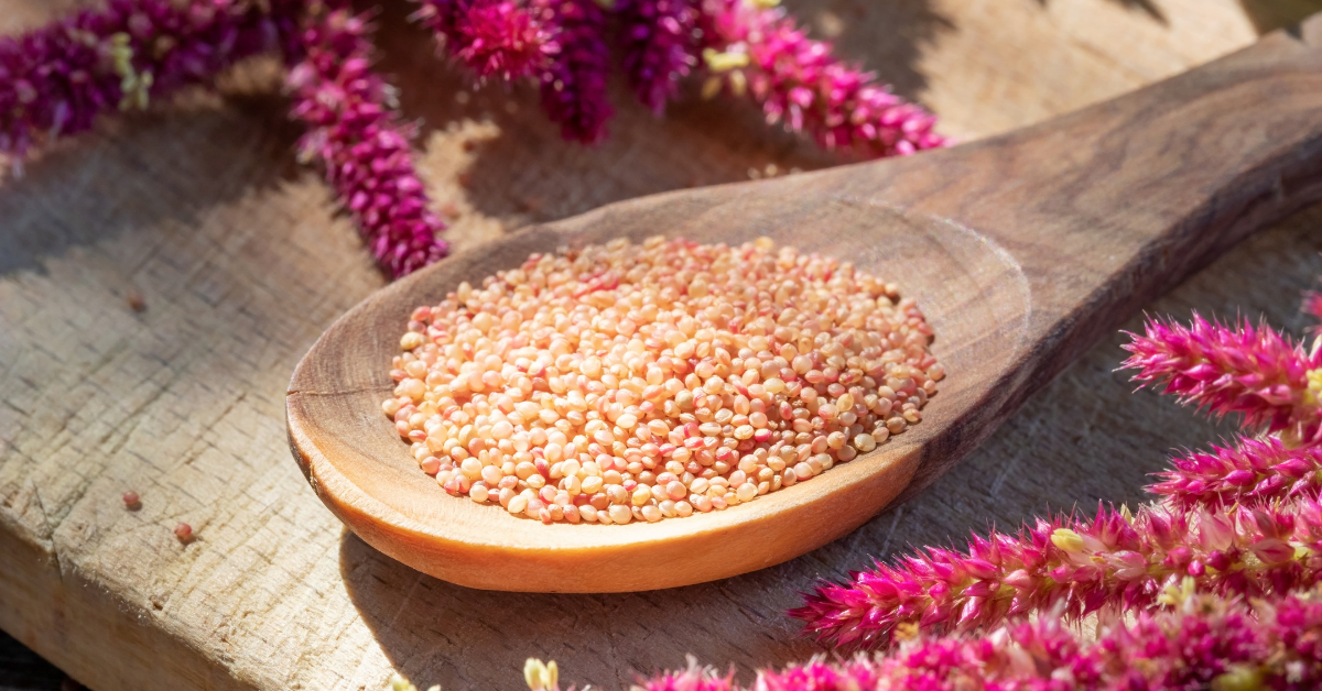 Ten reasons to eat more Amaranth!