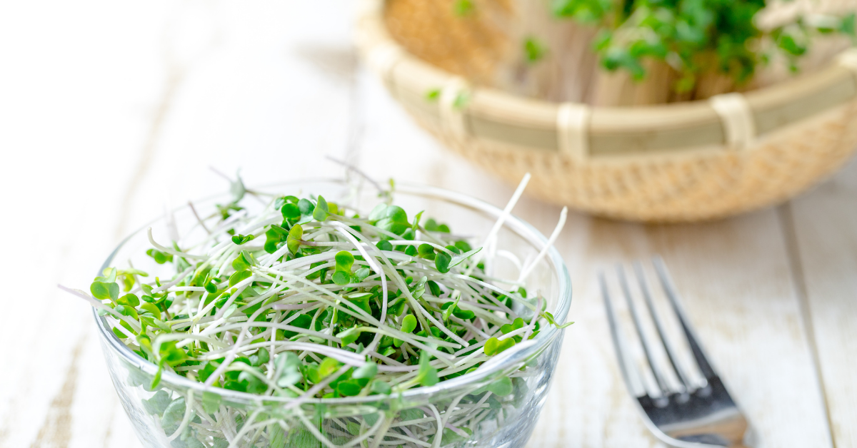 Sprouting massively increases antioxidants