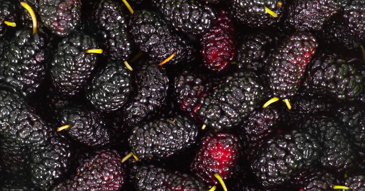 Mulberries