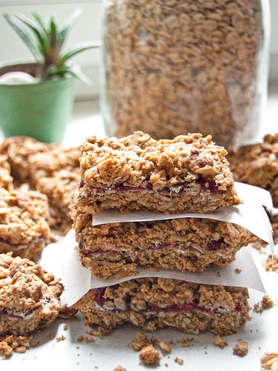 Fruity Oat Bars