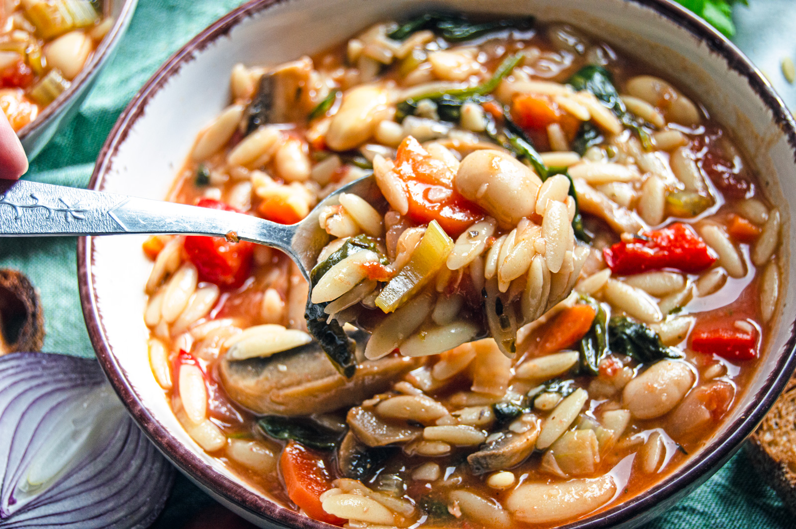 Orzo, Bean and Vegetable Stew