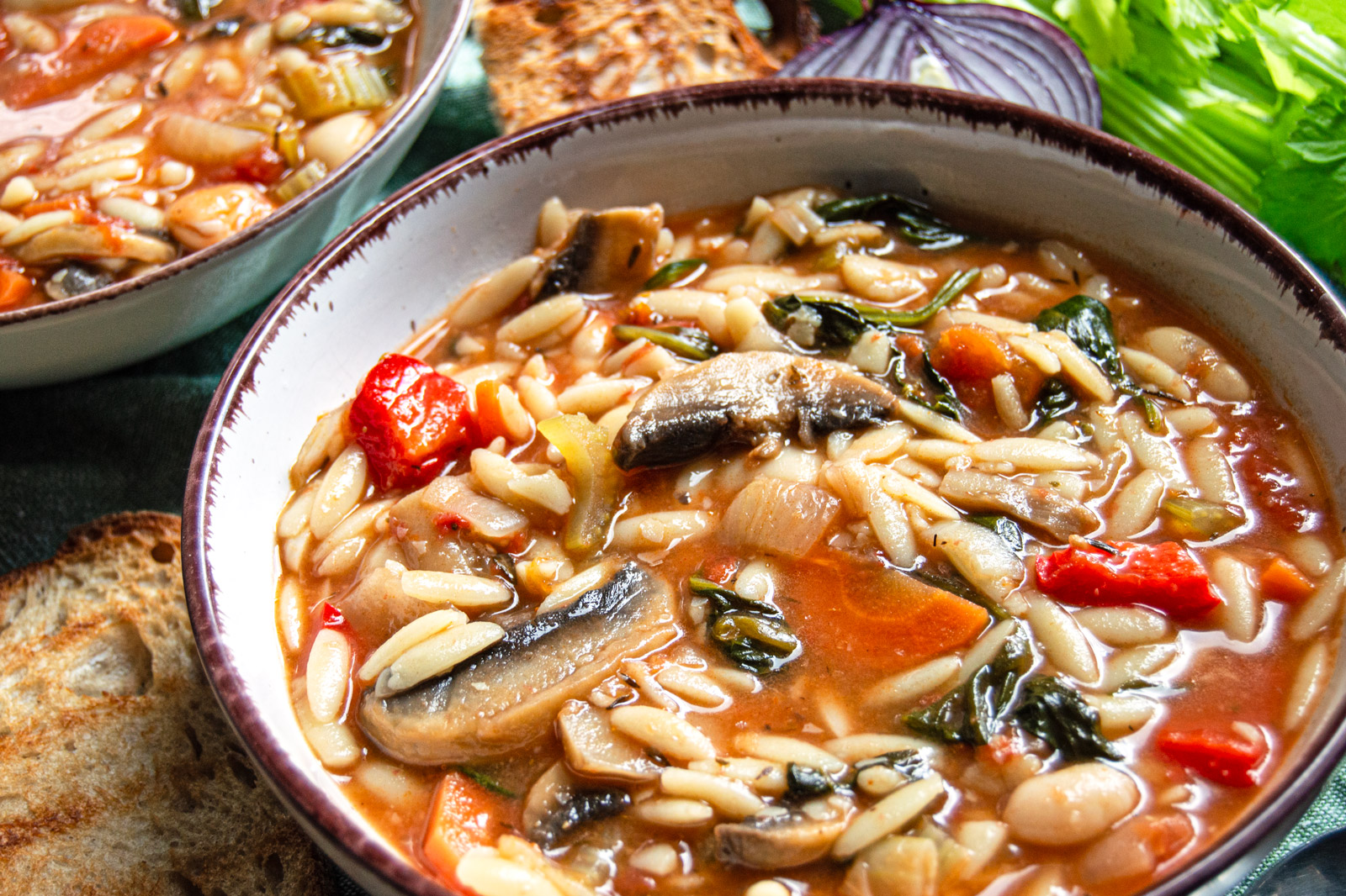 Orzo, Bean and Vegetable Stew