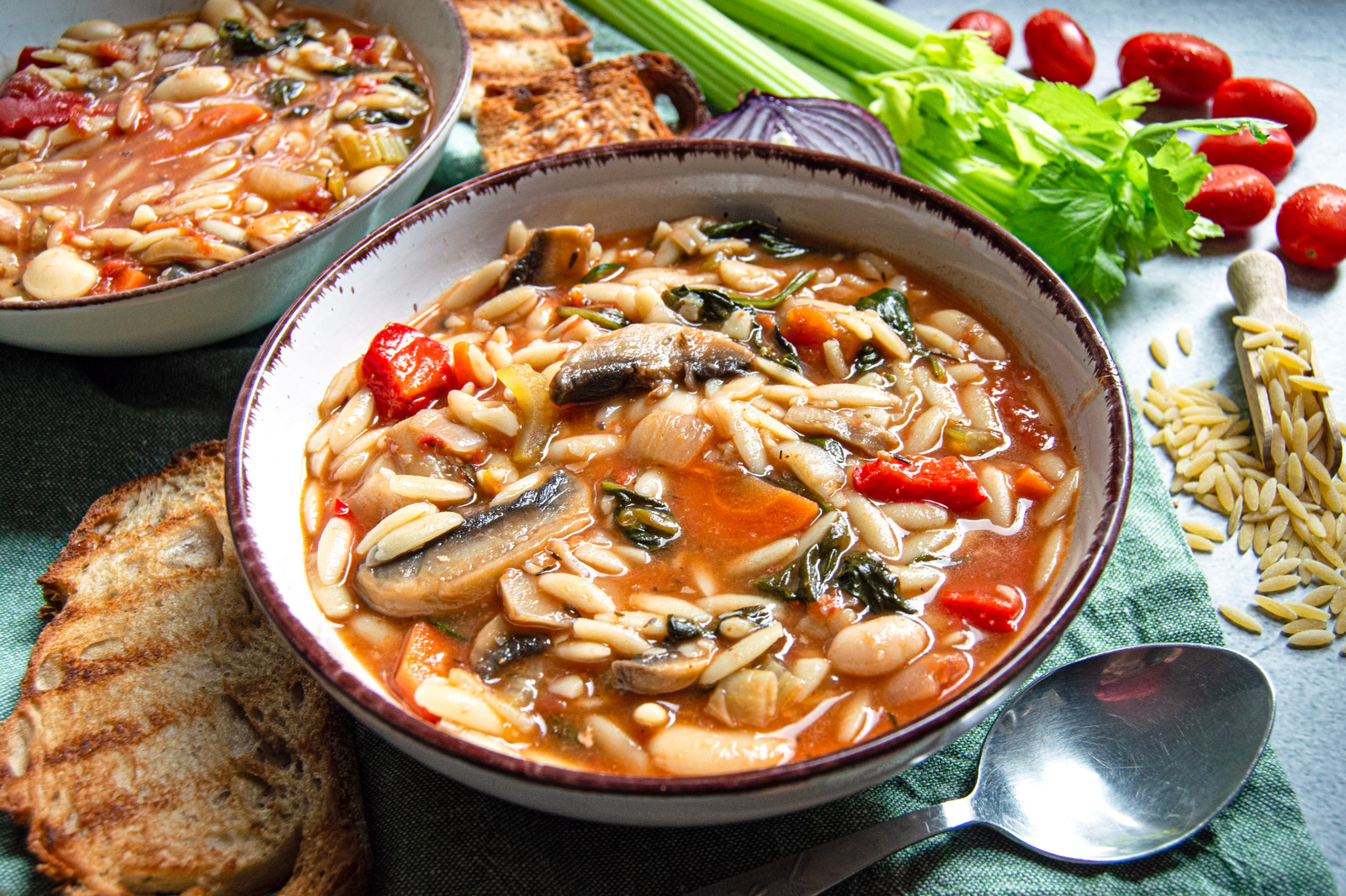 Orzo, Bean and Vegetable Stew