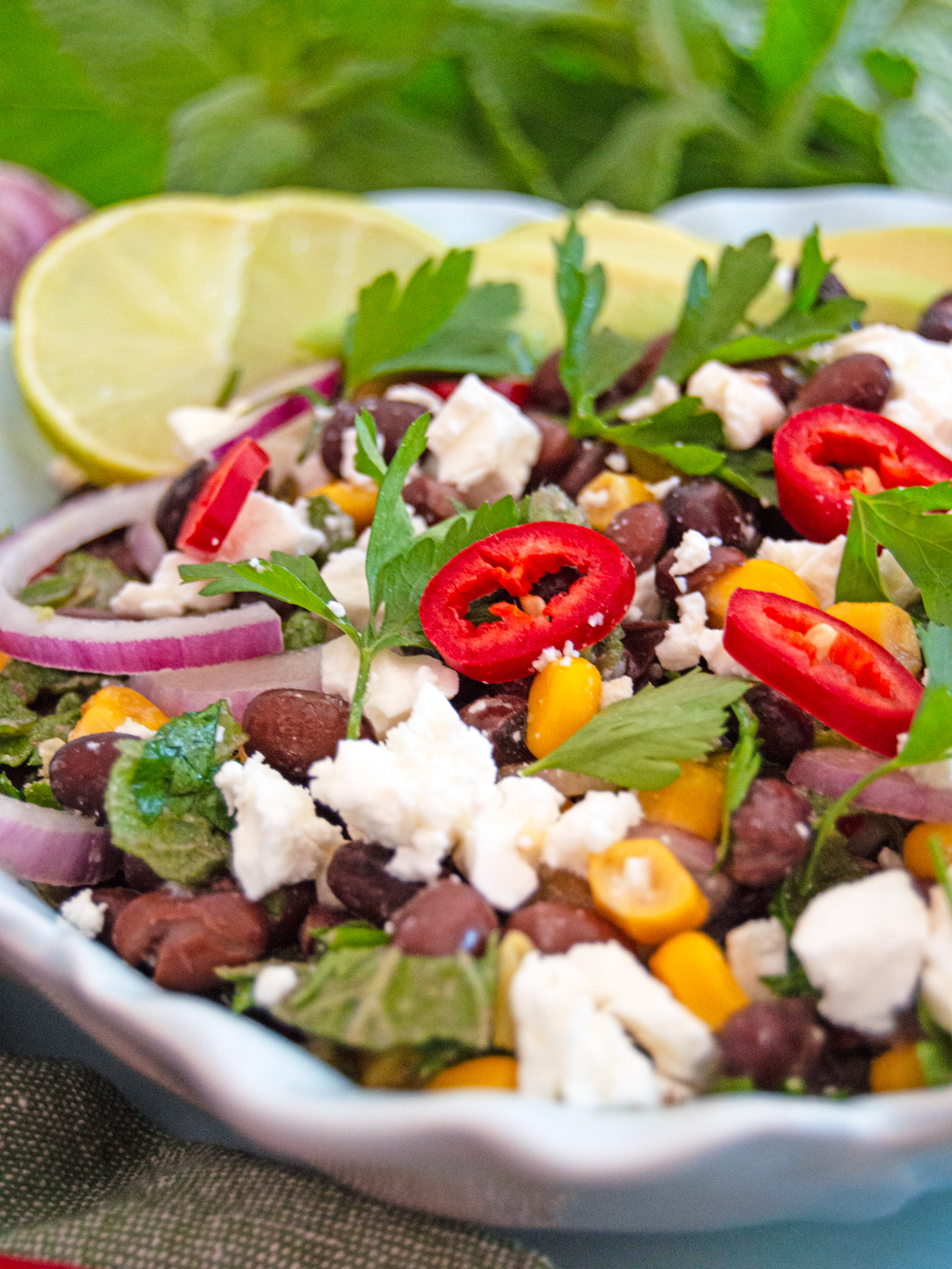 Gut Friendly Black Bean Salad