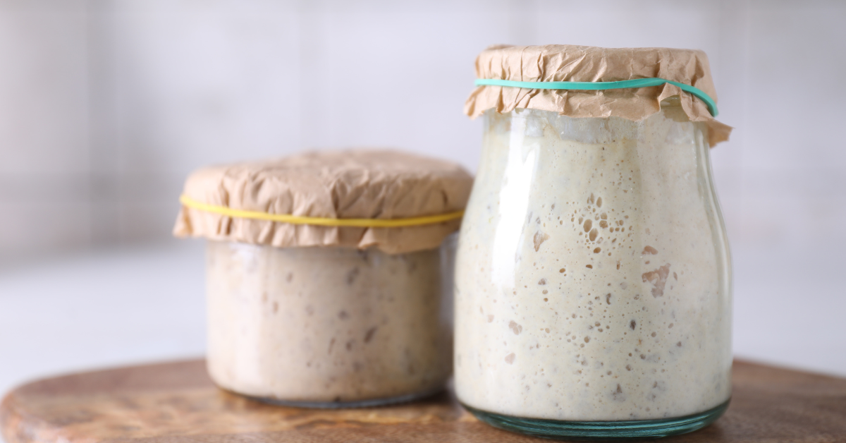🌾 Maintaining Your Starter