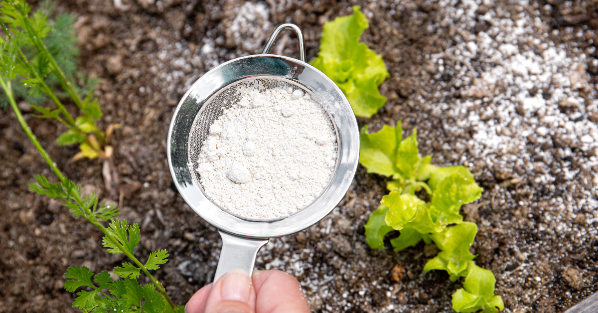3. Garden Uses – Protect Your Plants