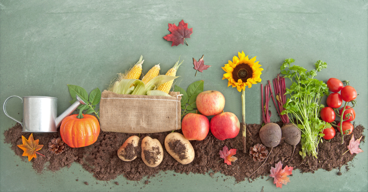 What is Organic September?