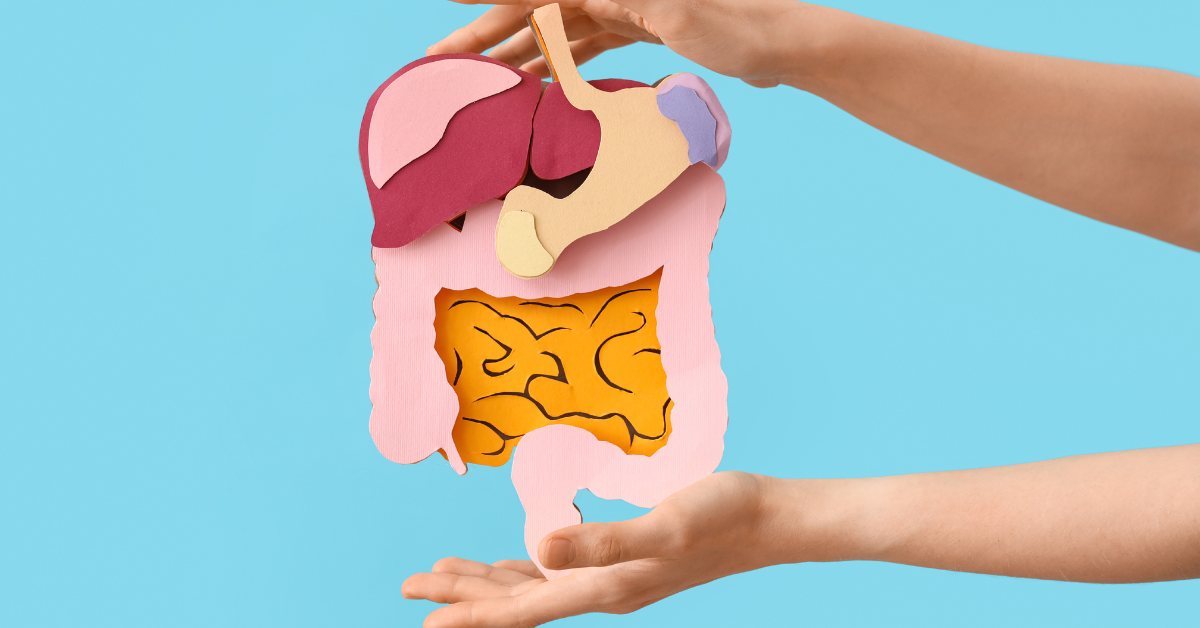 4. Why Both Types of Fibre Matter
