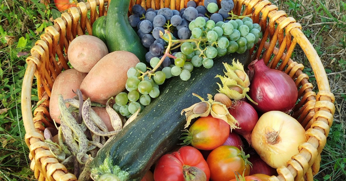 <h2>Why Choose Organic?</h2>