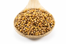 Organic Yellow Mustard Seeds 1kg (Sussex Wholefoods)