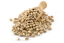 Organic Haricot Beans 25kg (Bulk)