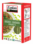 Edamame Spaghetti 200g, Organic (Explore Cuisine)