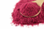 Freeze-Dried Cranberry Powder 1kg (Bulk)