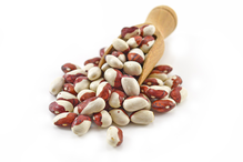 Organic Calypso Beans 25kg (Bulk)